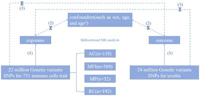 Causal role of immune cells in uveitis: Mendelian randomization study